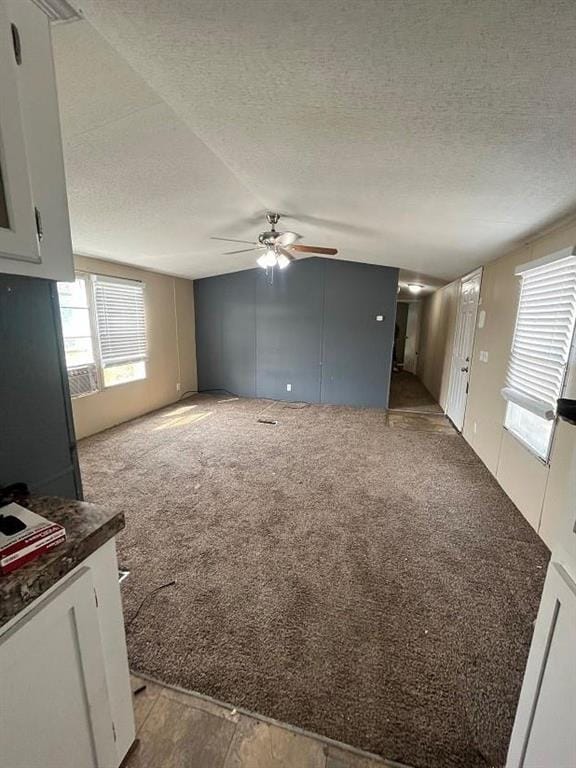 3509 Evergreen Drive, Granbury TX 76048 - Photo 5
