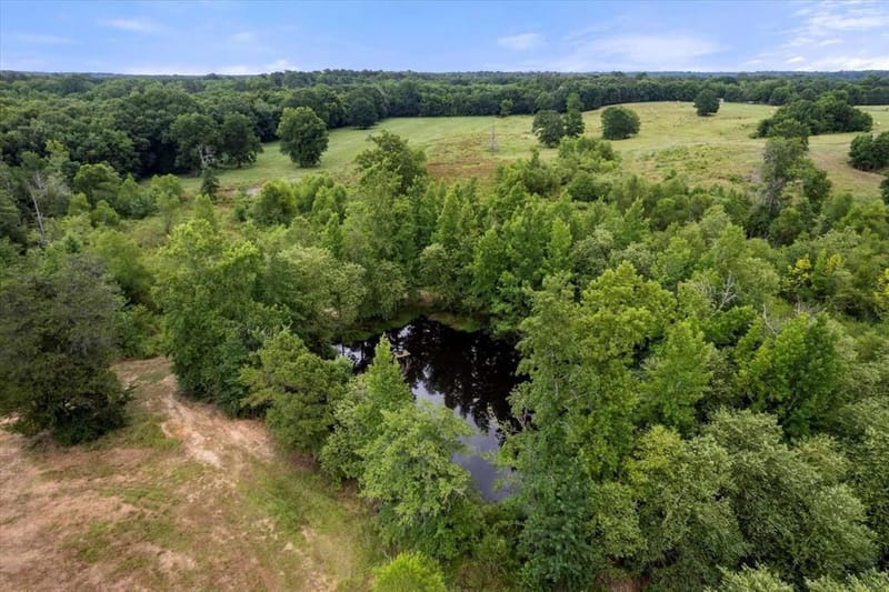 274 CR 3230 SW # 3230, Winnsboro TX 75494 - Photo 17