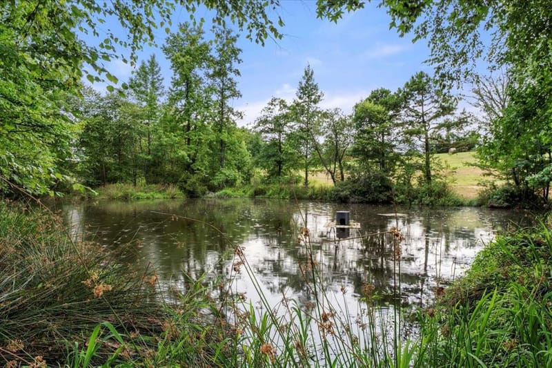 274 CR 3230 SW # 3230, Winnsboro TX 75494 - Photo 16