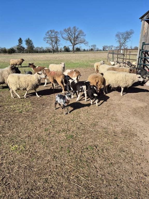 274 CR 3230 SW # 3230, Winnsboro TX 75494 - Photo 25