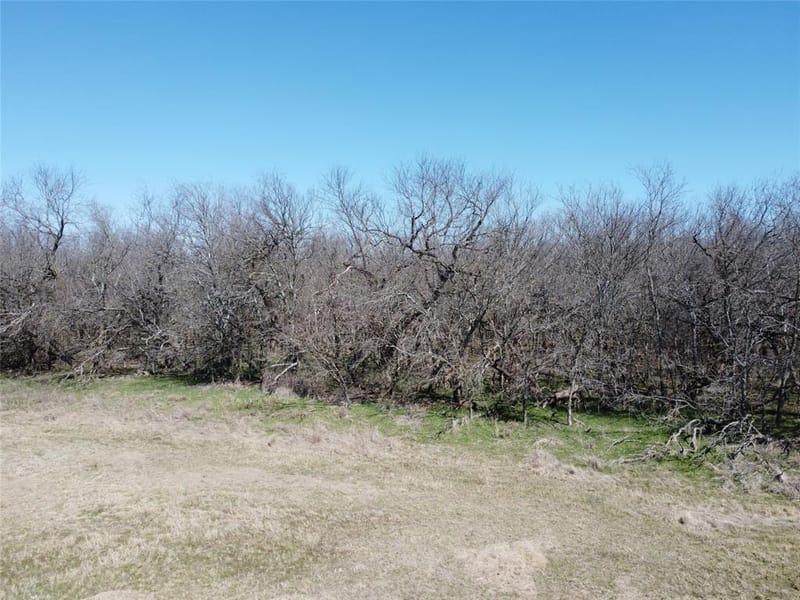 3323 S FM 933 Street, Whitney TX 76692 - Photo 23