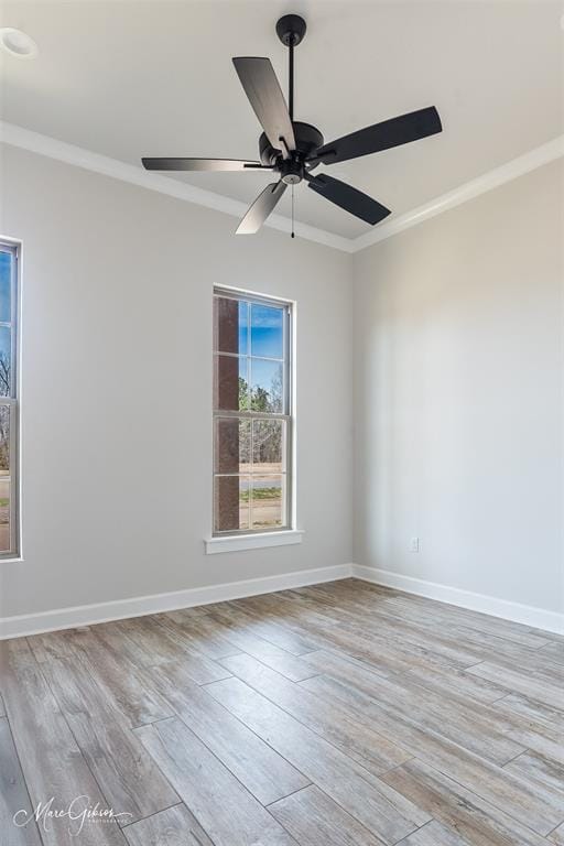 1245 Big Pine Key Lane, Benton LA 71006 - Photo 32