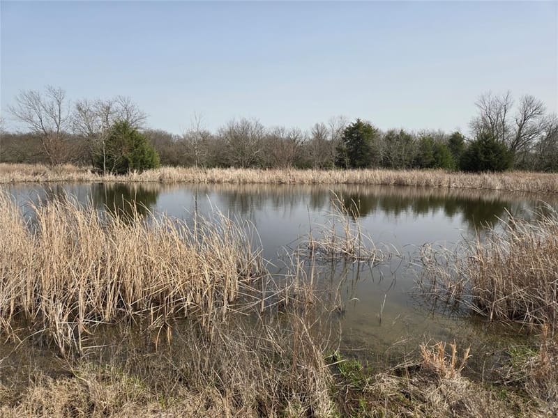 1001 N Atkins Drive, Celeste TX 75423 - Photo 18