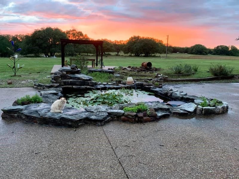 9051 Fm 205, Bluff Dale TX 76433 - Photo 39