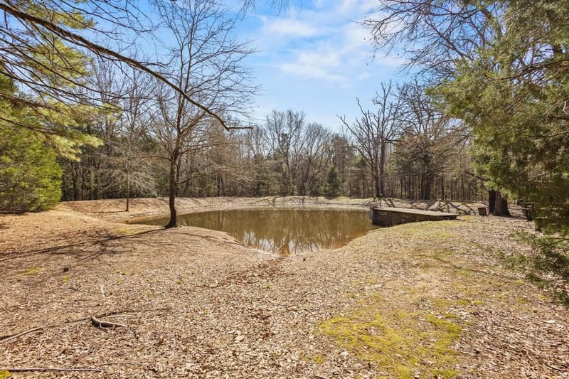 1393 County Road 2250, Ivanhoe TX 75447 - Photo 26