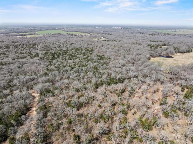 1393 County Road 2250, Ivanhoe TX 75447 - Photo 40