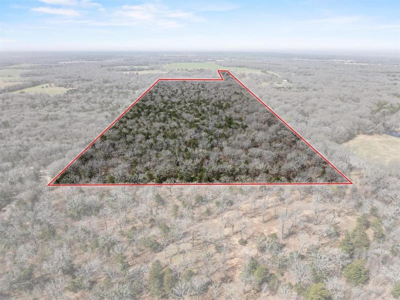 1393 County Road 2250, Ivanhoe TX 75447 - Photo 35