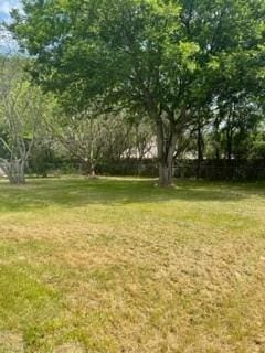 1503 Lands End Street, Granbury TX 76048 - Photo 10