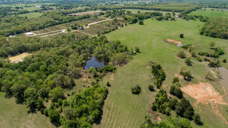 530 County Road 1123, Fruitvale TX 75127 - Photo 27