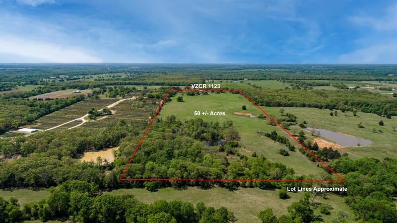 530 County Road 1123, Fruitvale TX 75127 - Photo 4