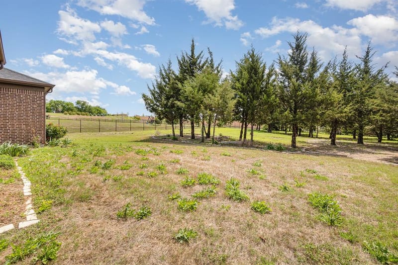 3933 Clear Water Lane, Nevada TX 75173 - Photo 35
