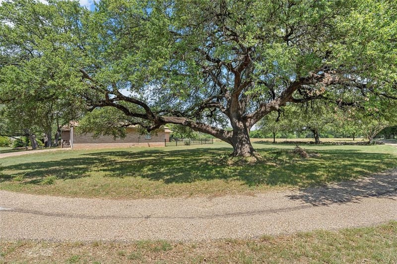 28368 W Highway 84, McGregor TX 76657 - Photo 35