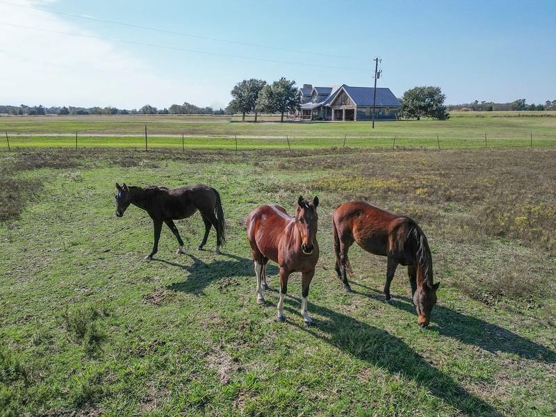411 Rs County Road 4525, Point TX 75472 - Photo 34