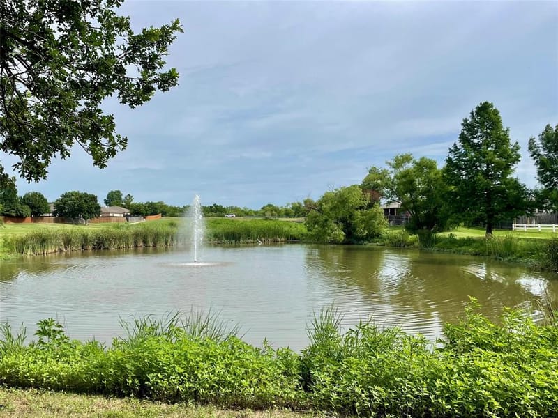 4329 Silverwood Trail, Fort Worth TX 76244 - Photo 39