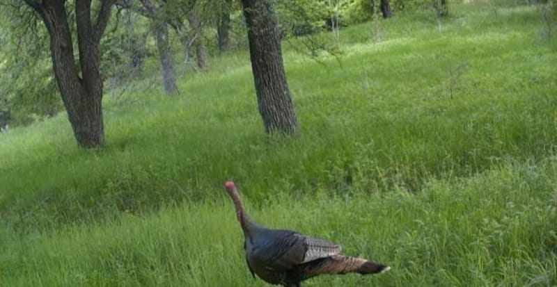 771 HCR 2233, West TX 76691 - Photo 27