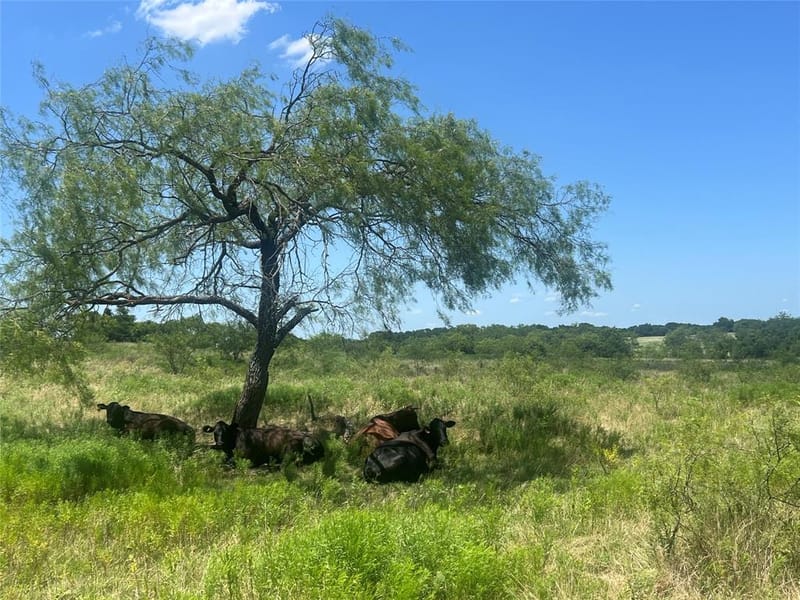 771 HCR 2233, West TX 76691 - Photo 16