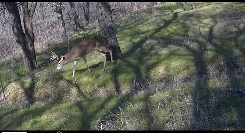 771 HCR 2233, West TX 76691 - Photo 26