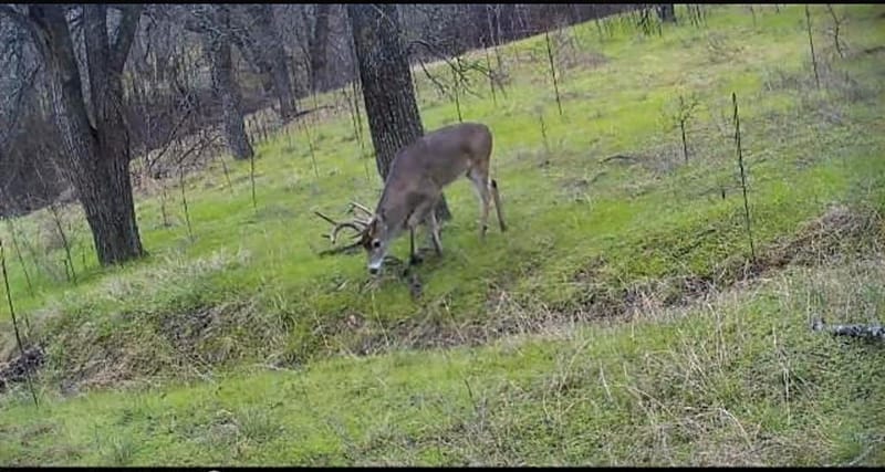 771 HCR 2233, West TX 76691 - Photo 25