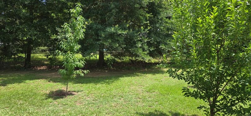105 Janice Circle, Tool TX 75143 - Photo 13