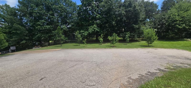 105 Janice Circle, Tool TX 75143 - Photo 10