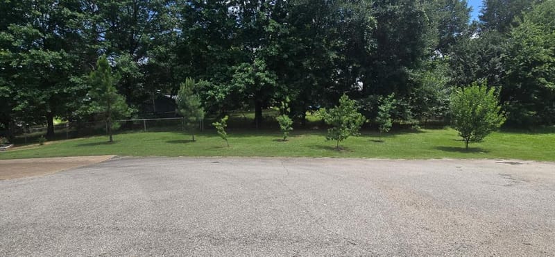 105 Janice Circle, Tool TX 75143 - Photo 11