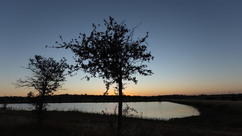 108 Tierra Blanca Lane, Rhome TX 76078 - Photo 28