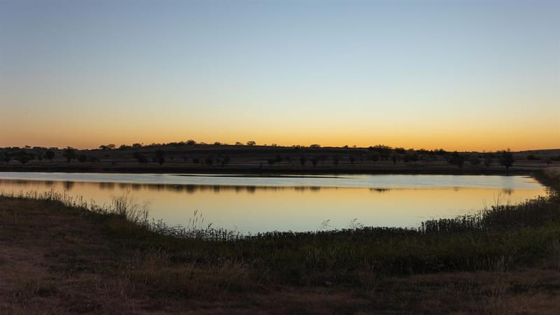 108 Tierra Blanca Lane, Rhome TX 76078 - Photo 29