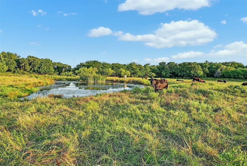 2340 Wright Road, Sherman TX 75092 - Photo 3