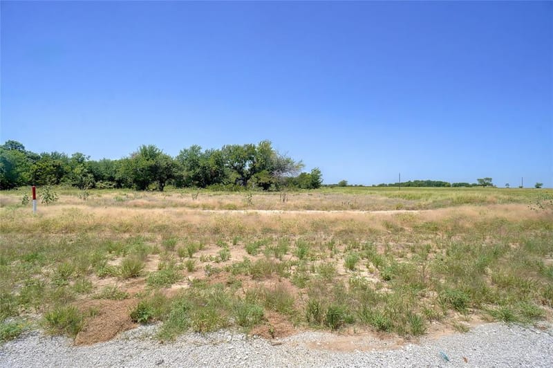 159 Blackstar Lane, Decatur TX 76234 - Photo 6