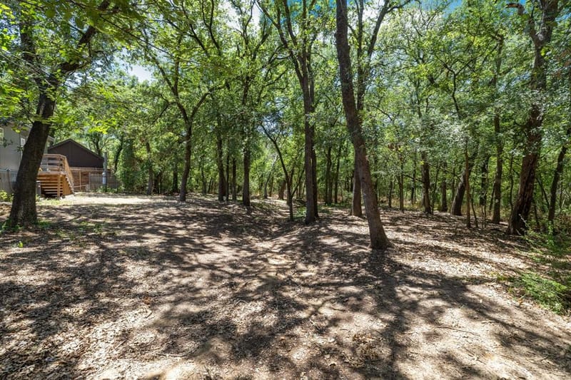 417 Buladora Drive, Little Elm TX 75068 - Photo 36