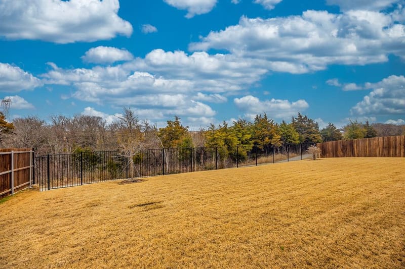 3216 Creek Meadow Drive, Anna TX 75409 - Photo 40
