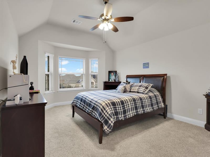 4113 Frontera Vista Drive, Fort Worth TX 76179 - Photo 23