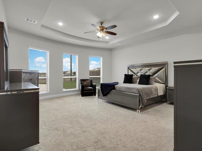 4113 Frontera Vista Drive, Fort Worth TX 76179 - Photo 17