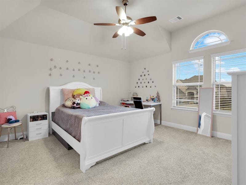 4113 Frontera Vista Drive, Fort Worth TX 76179 - Photo 28