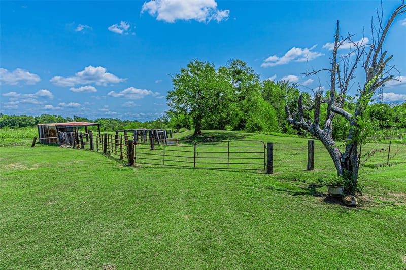 268 VZ County Road 3416, Wills Point TX 75169 - Photo 7