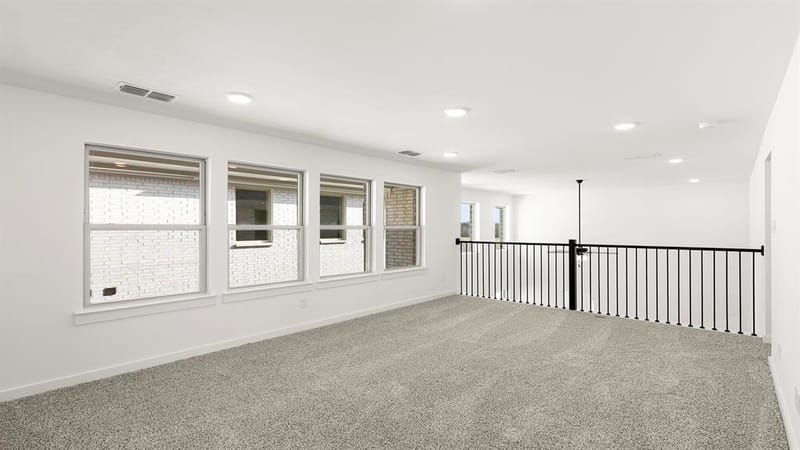 613 Wicklow, Celina TX 75009 - Photo 19