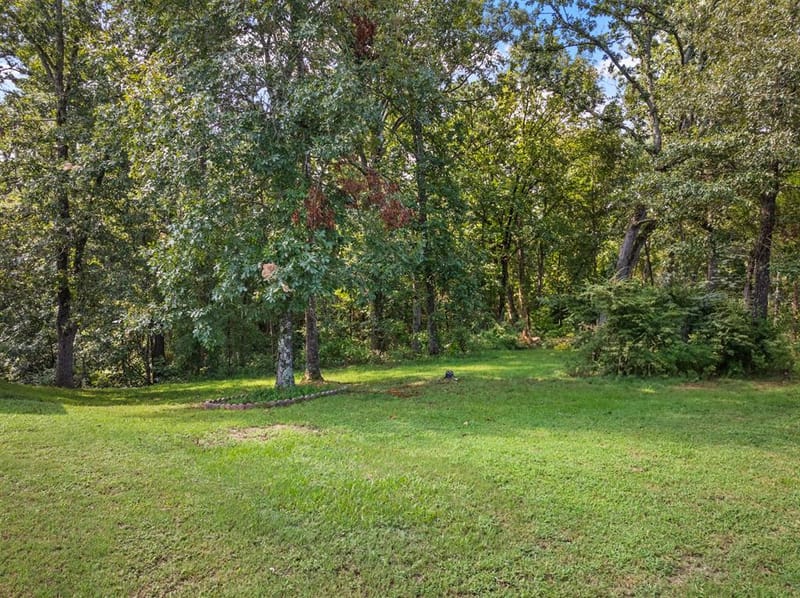 509 County Road 1309, Pittsburg TX 75686 - Photo 31