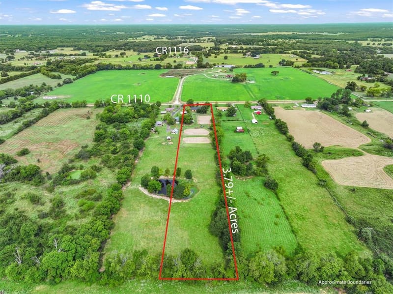 3399 Vz County Road 1110 Road, Grand Saline TX 75140 - Photo 9