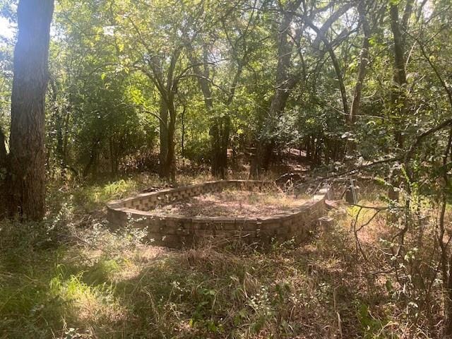 455 Fm 71, Commerce TX 75428 - Photo 21