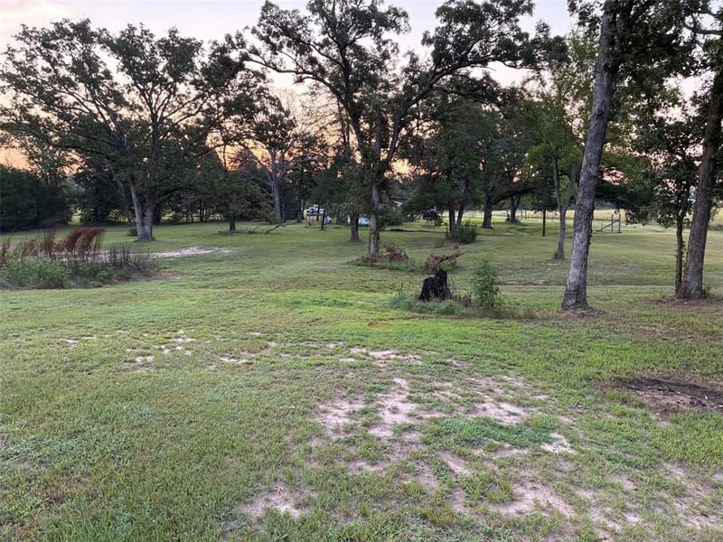 2994 Vz County Road 2313, Canton TX 75103 - Photo 12