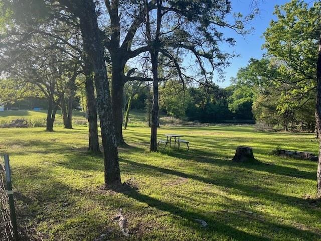 2994 Vz County Road 2313, Canton TX 75103 - Photo 3