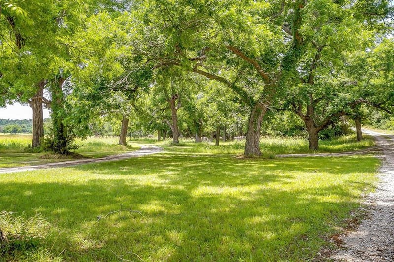 7401 Tin Top Highway, Weatherford TX 76087 - Photo 26