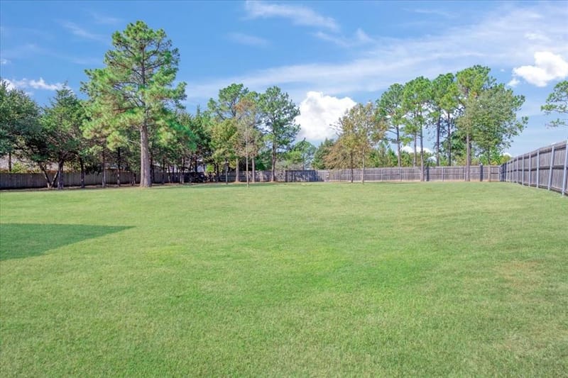 260 Lakeview Drive, Denison TX 75020 - Photo 36