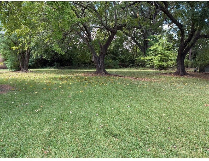 7306 Camelback Drive, Shreveport LA 71105 - Photo 20