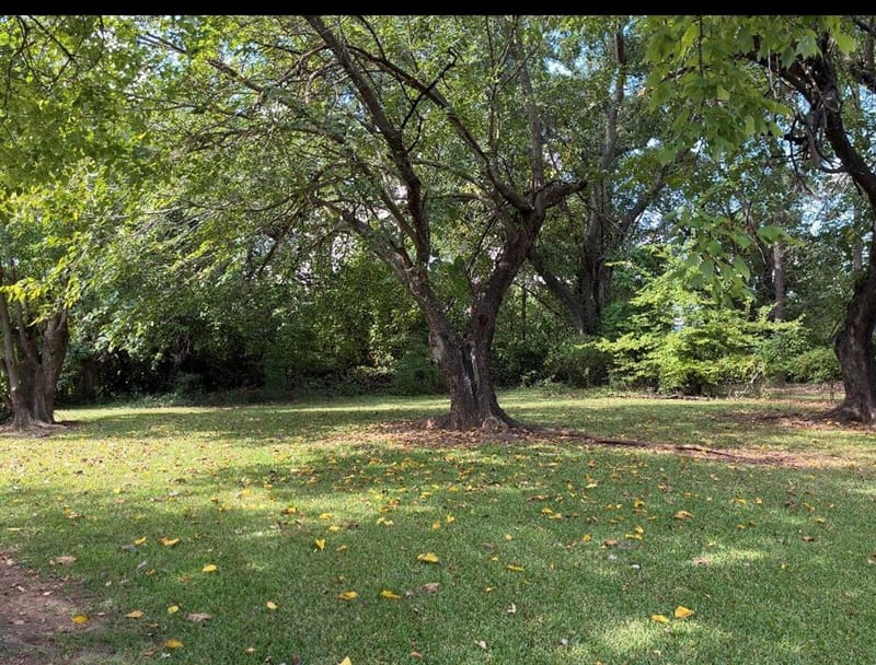 7306 Camelback Drive, Shreveport LA 71105 - Photo 19