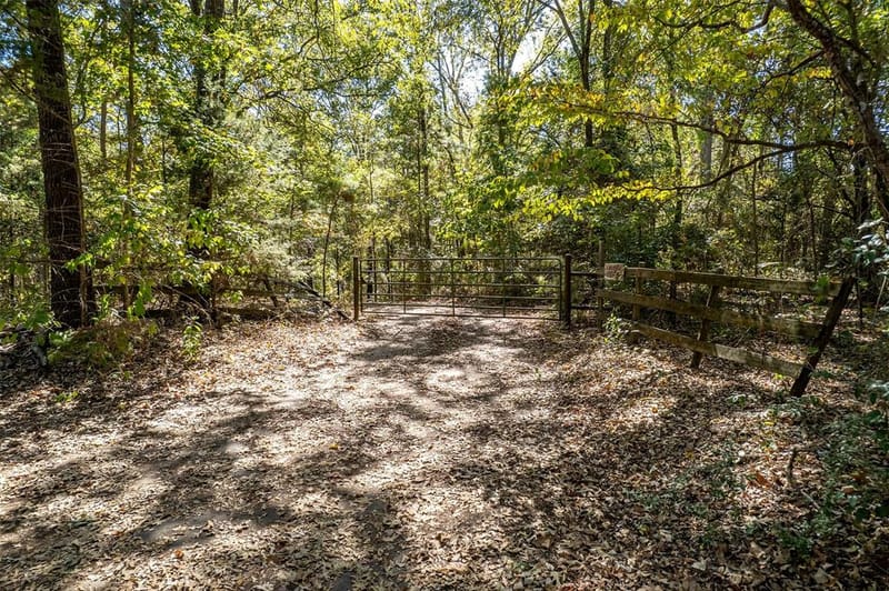 2026 CR 3234, Quitman TX 75783 - Photo 4
