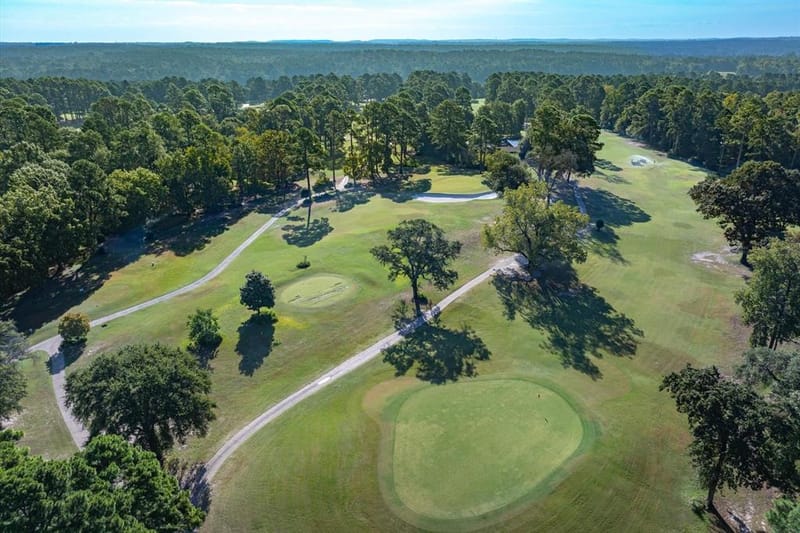 257 Peaceful Woods Trail, Holly Lake Ranch TX 75765 - Photo 8