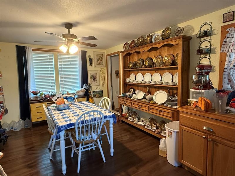501 E Fitzgerald Street, Bangs TX 76823 - Photo 9