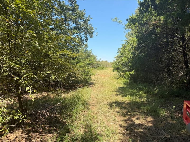 808 W Line Road, Whitesboro TX 76273 - Photo 34