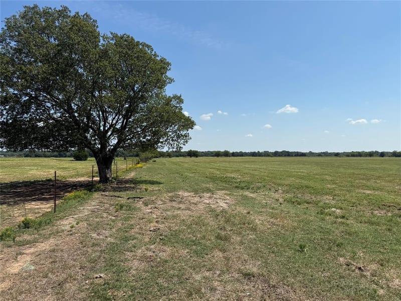 808 W Line Road, Whitesboro TX 76273 - Photo 38